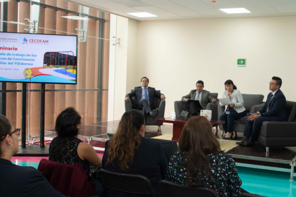 Acciones a favor de las familias mexiquenses y potosinas