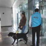 Desde Chile llama Fernando Díaz a crear nuevos esquemas de impartición de justicia